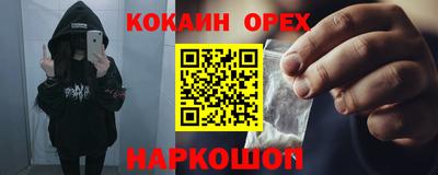 крисы Можга