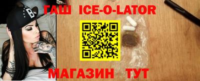 крисы Можга