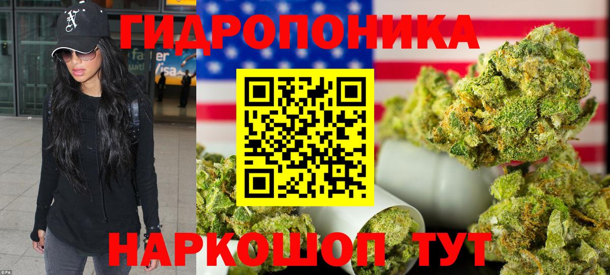 Шишки марихуана марихуана  Марихуана OG Kush  Вход с VPN  Бошки Шишки Ganja  Вышний Волочёк 